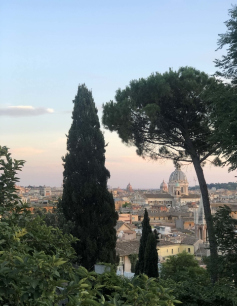 Consultancy for all of Italy - Tours guide in Italy