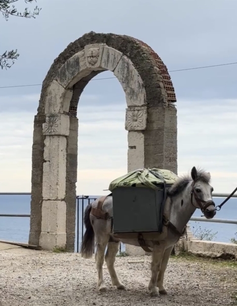 Amalfi Coast Tour by Car - Tours guide in Italy