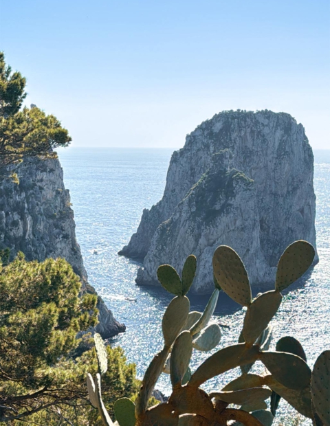 Capri by boat - Tours guide in Italy