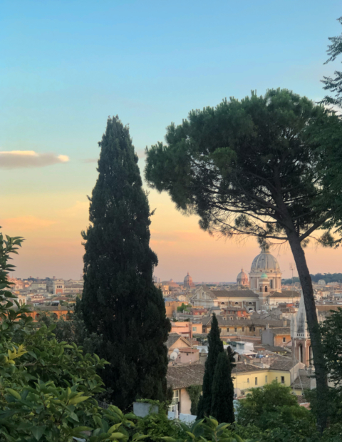 Consultancy for all of Italy - Tours guide in Italy